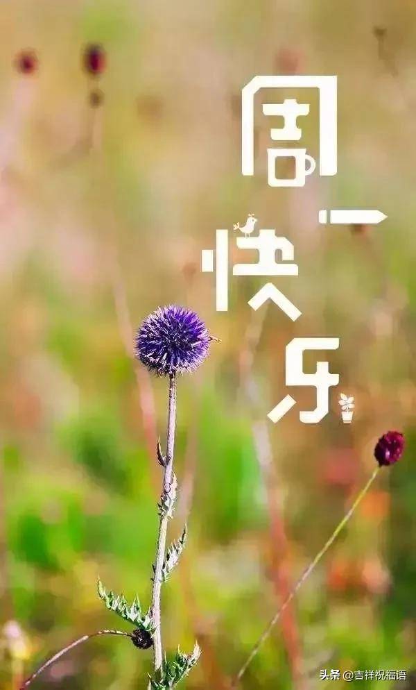 星期一朋友圈早上好祝福问候语短信,暖心早上好动态表情祝福图片