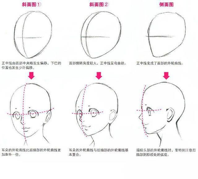 动漫人物侧面身体画法教程分享