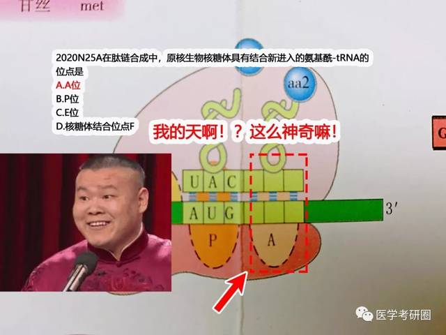 吴在望一张图干翻了西综考研界