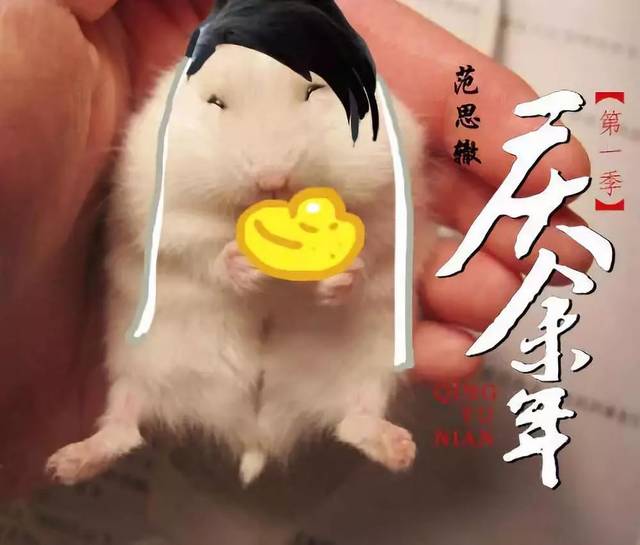 迎检启征程 护航新学期