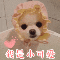 狗狗专用表情包来了,请注意查收,里面有风一般的狗子哦很帅