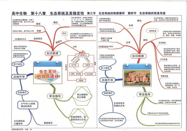 期末复习×生物丨45张思维导图,划出了高中生物所有重点