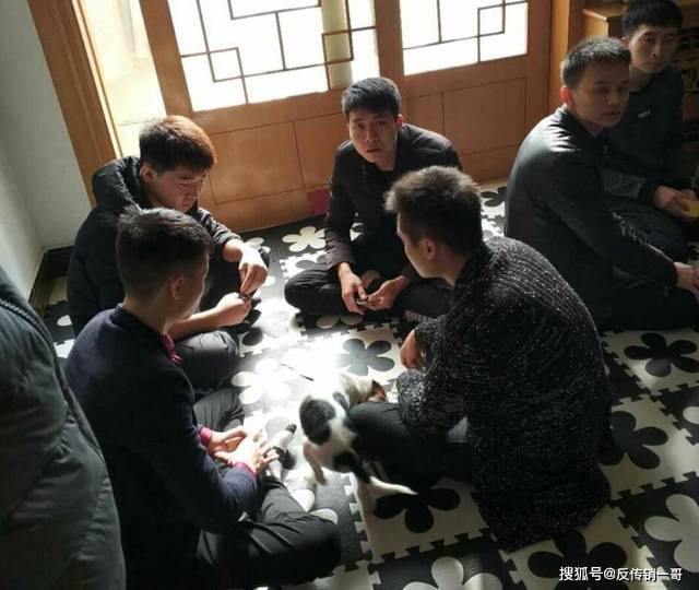 原创反传销解救纪实:警校学员深陷洛阳传销,反传一哥带队解救