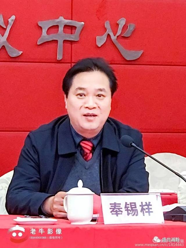 湖南华兴实业有限责任公司董事长向长江为名誉会长;中共隆回县委书记