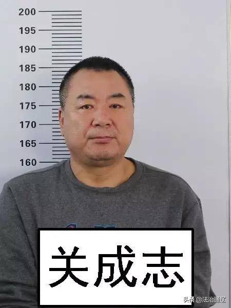 关于征集关成志(绰号:关大力),关宇东等人组织,领导,参加黑社会性质