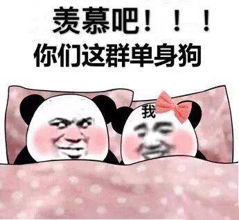 熊猫头表情包合集|羡慕吧,你们这群单身狗