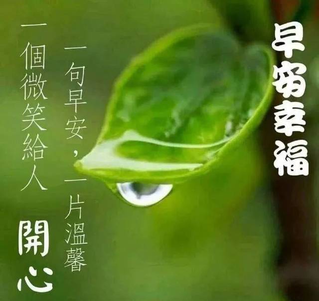 早上好图片祝福语全集2020 新出的早晨问候表情