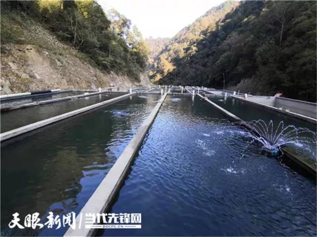 养鱼池的水都是从山上引下来的山泉水,可以直接引用.