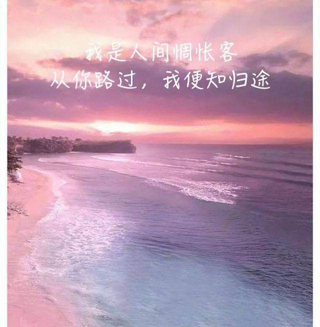 2020微信最精辟的句子,说到心坎!