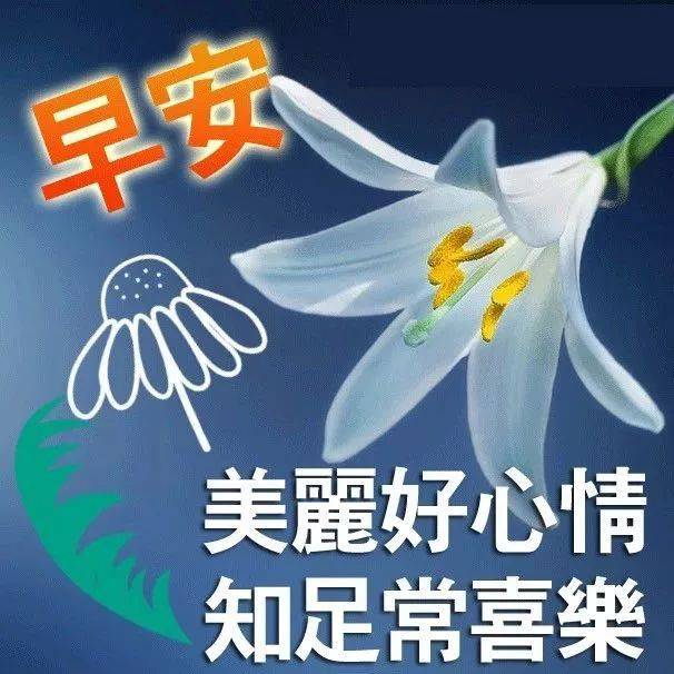 腊月初一新出的早上好问候语图片 冬天新版早上好表情