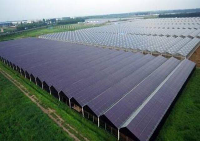 提出"科技兴农,乡村振兴"战略 利用传统农业大棚棚顶进行太阳能发电