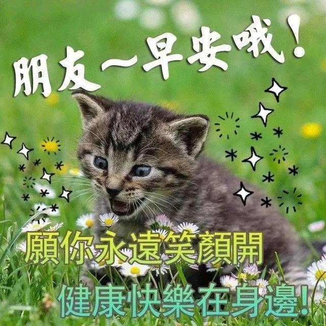 腊月初一新出的早上好问候语图片 冬天新版早上好表情