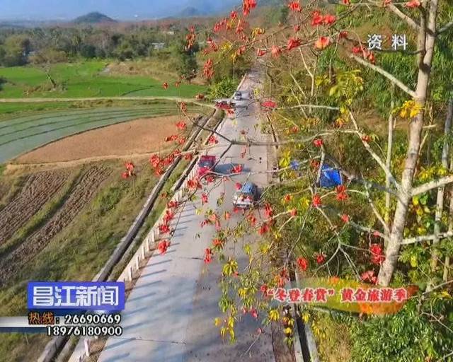 霸王岭上雨林秀 昌化江畔木棉红 昌江"冬登春赏"黄金旅游季启幕