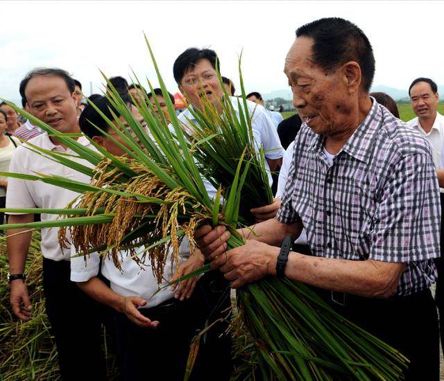 袁隆平去墨西哥领奖,可是因为一个原因,他竟被颁了两次奖_手机搜狐网