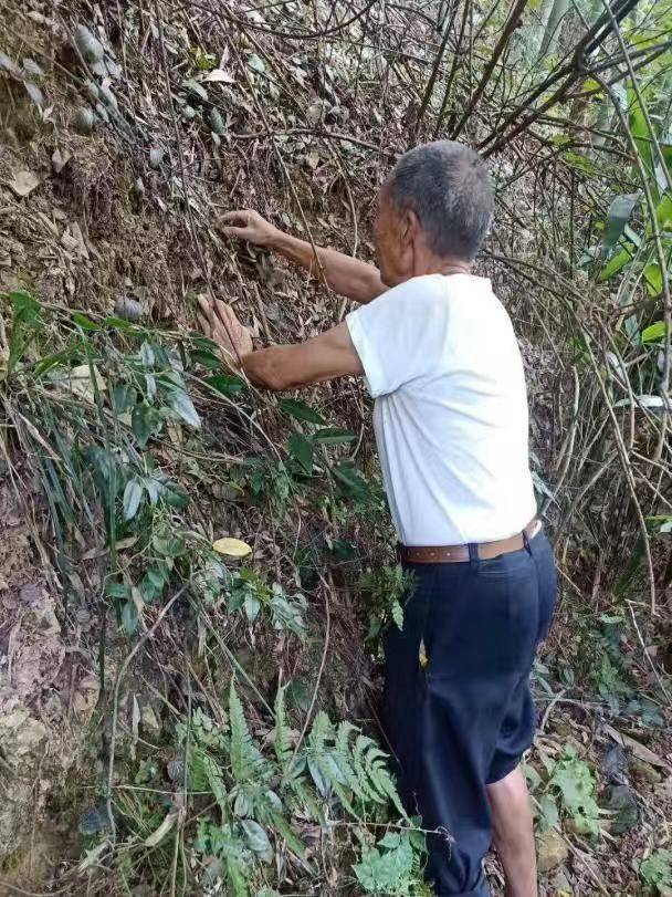 涟源市科技扶贫专家服务团撰"龙山药王百草园记"