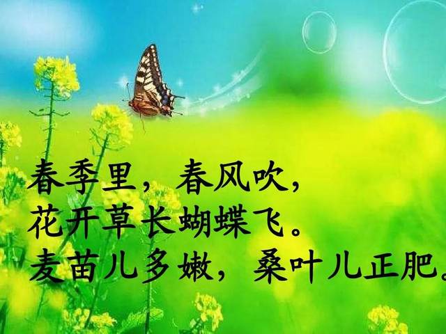 09 课文主题 本文是一首时序歌,对农民一年四季的农事活动进行了描写