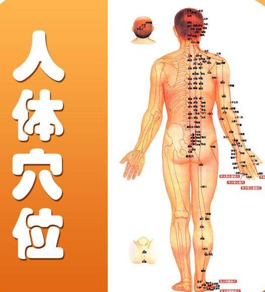 人体穴位密码:一分钟搞定胃痛,失眠,降压,心慌,心绞痛