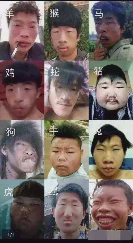 ▼网红界的十二生肖!