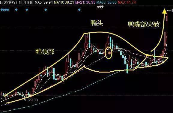 千金难买老鸭头,真正的形态一旦形成,坐等主升浪,简单通俗易懂