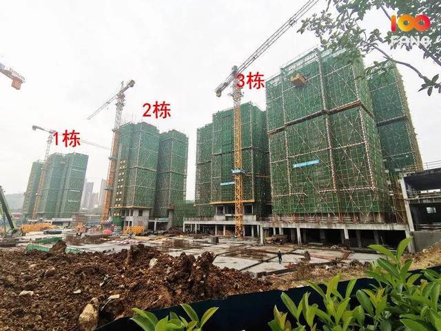 爱莲·珑熙府