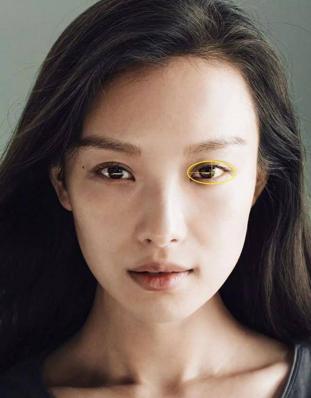 中国人常见几种眼型,瑞凤眼有气质,桃花眼公认最漂亮