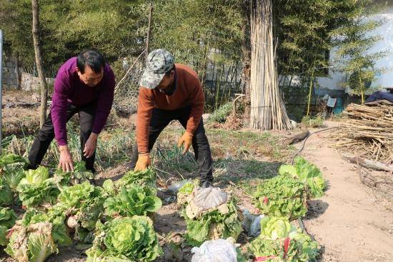 鲁山县张国营:让"流浪哥"生活无忧无虑