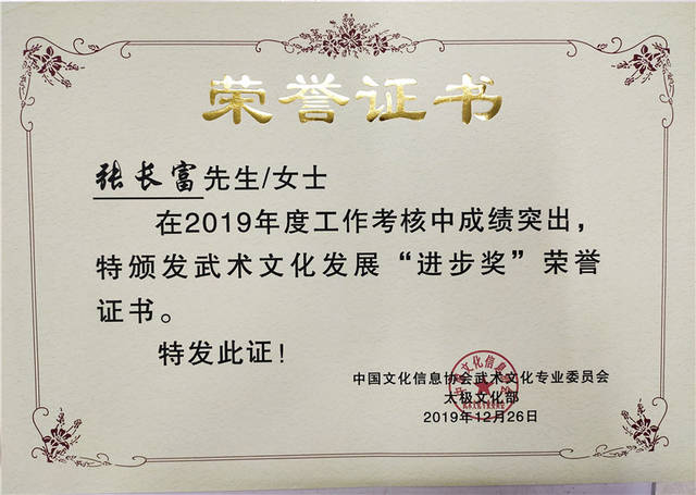 2019年度武术文化专业委员会太极文化部表彰大会