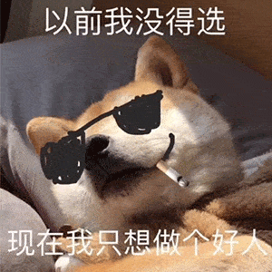 情侣头像丨沙雕表情包