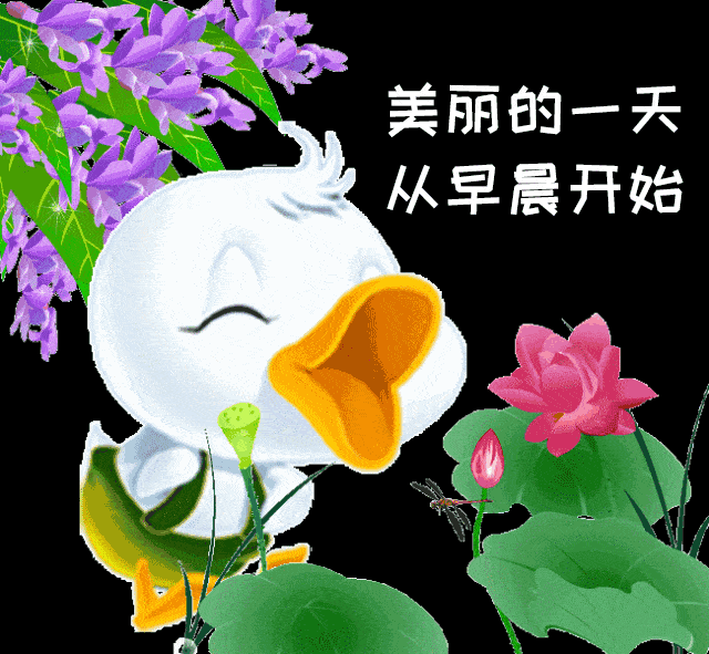 2020最新清晨早安问候暖心祝福图片带字,微信早安最美