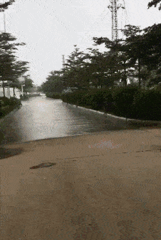 搞笑gif动图:画画跟玩似的,一点压力也没有,还这么生