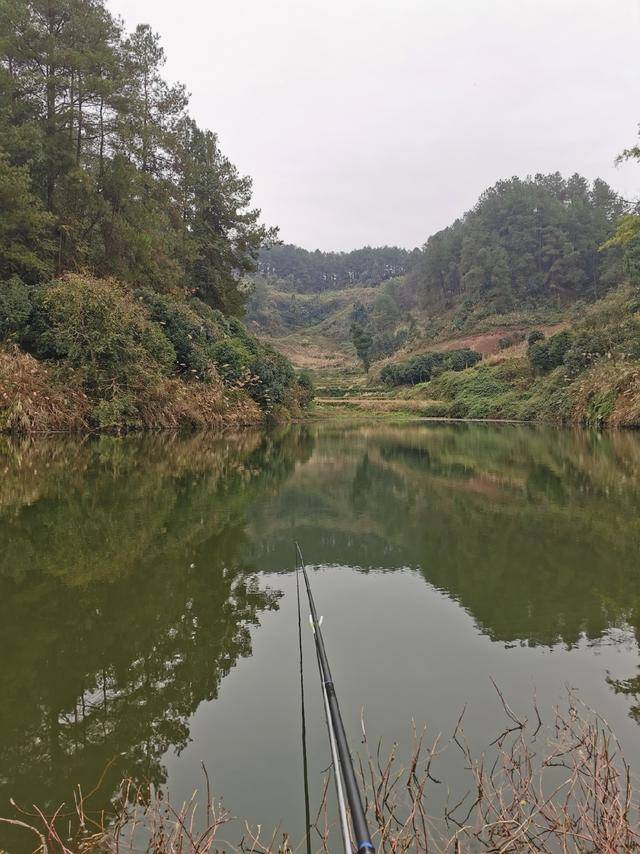 2020新年出钓水库,呼吸山上新鲜的空气就是好