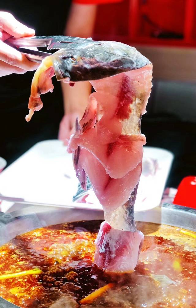 成都美食探店:八喜文化鲜鱼火锅——蜀滋香