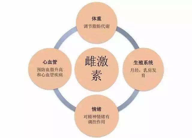 雌激素是伴随女性一生的宝贝,但它到底是什么?