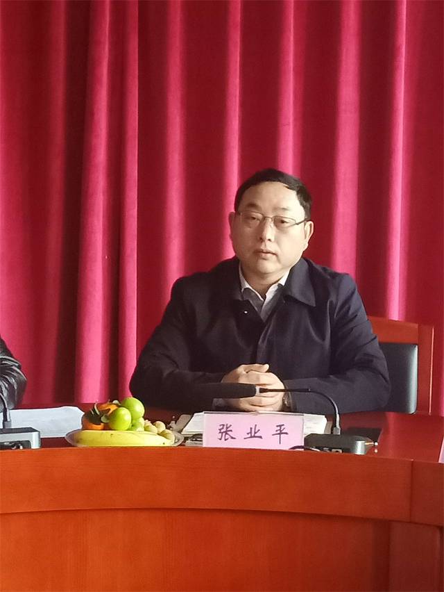 张业平书记在听完了与会代表们的发言后,首先代表学校对各民主党派