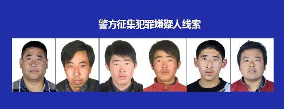 徐套乡这6人目前已被批捕,现公开悬赏征集犯罪嫌疑人违法犯罪线索