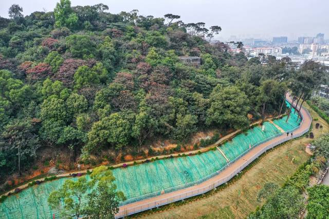 在绿色无障碍路径中,可赏可游可玩,一路看绿游遍白云山,麓湖,越秀山.