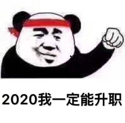 熊猫头加油表情包合集|2020我一定能成功