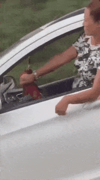 搞笑gif:最后一个,你是来报仇的吗?_手机搜狐网