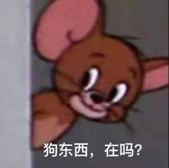 杰瑞鼠可爱表情包