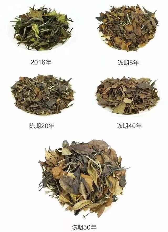 腊八已至丨聊聊老白茶,正宗的老白茶越陈越好,主要是因为这些数据!