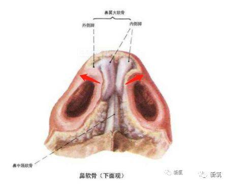 但是外侧脚却很小很短.