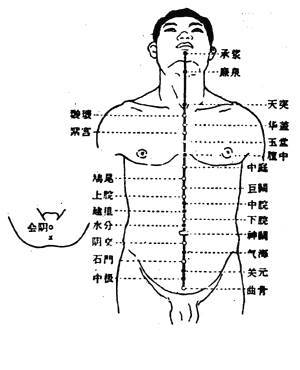 【人体穴位】会阴穴:益阴壮阳