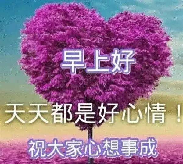 一月早上好问候语温馨句子 新的一月早上好祝福语唯美