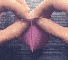 日本折纸大神用20几年把折纸玩活了,网友:这确定是纸做的?