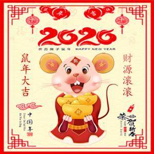 "2020"鼠你好运,大吉大利!微信旺财头像