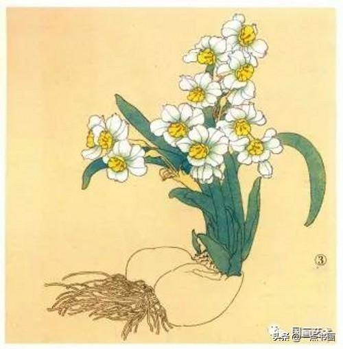 鹤ˮɻĻ