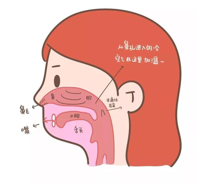 鼻子发痒打喷嚏,除了感冒,过敏性鼻炎更应该重视!