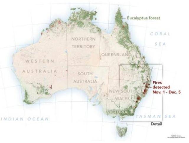 600万公顷森林被烧,5亿只动物死亡,澳大利亚军队在干吗?