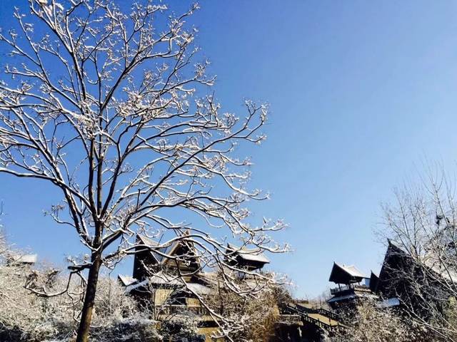 2020初雪,正式和焦作人民见面啦!速来这里免费赏雪!