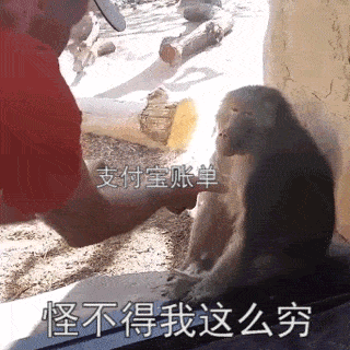 看了自己支付宝年度账单的你-我有这么多钱吗?我怎么不知道?